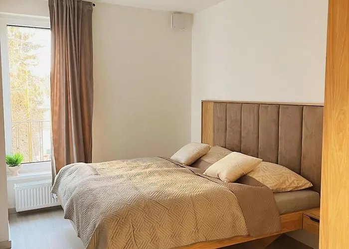 Premium In The Center Of Appartement